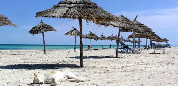 Beach Island Beach Beach Island Beach