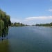 Wassertemperatur Donau